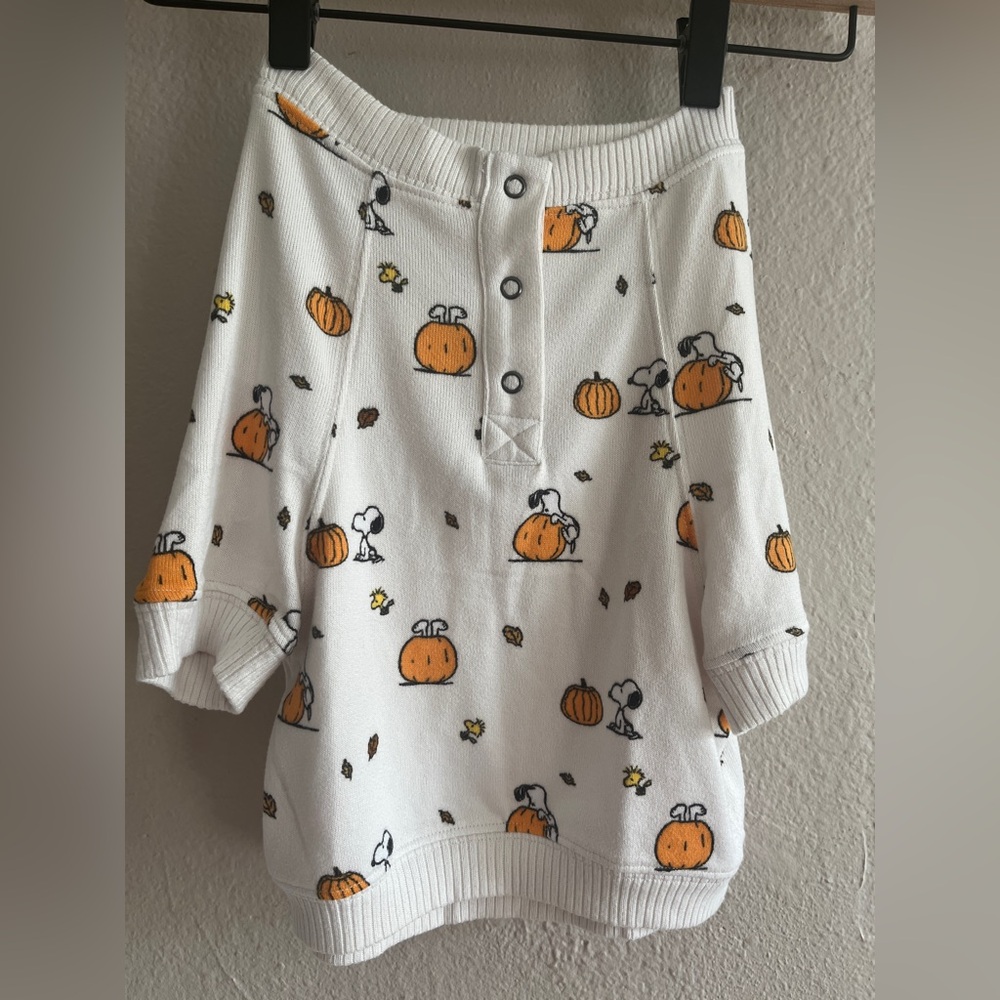 American Eagle Outfitters Snoopy Fall Dog Shirt Size Medium